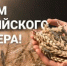 Поздравление с Днем российского фермера - Семикаракорский район