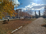 Субботник
