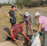 В Крымском детском саду прошли мероприятия, посвященные Дню древонасаждения и месячнику чистоты - Газета Семикаракорские вести