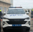 Реакция ДПС спасла жизнь матери и ребёнку в дорожной пробке - Газета Семикаракорские вести