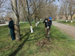 Продолжаются городские субботники