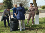 Продолжаются городские субботники