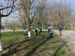 Продолжаются городские субботники